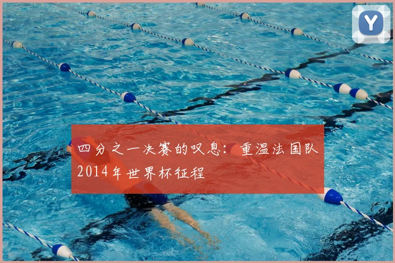 四分之一决赛的叹息：重温法国队2014年世界杯征程