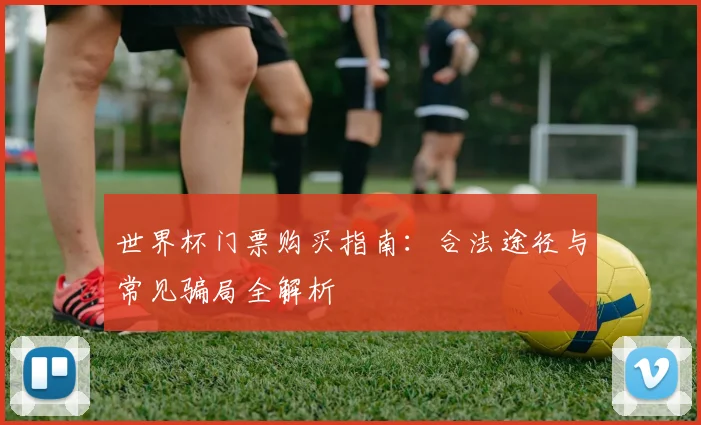 世界杯门票购买指南：合法途径与常见骗局全解析