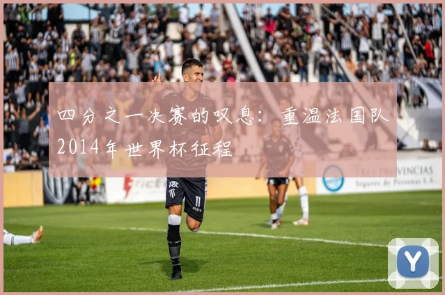 四分之一决赛的叹息：重温法国队2014年世界杯征程