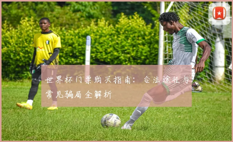 世界杯门票购买指南：合法途径与常见骗局全解析