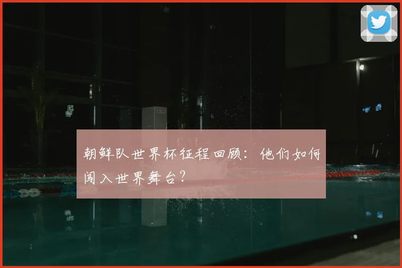 朝鲜队世界杯征程回顾：他们如何闯入世界舞台？