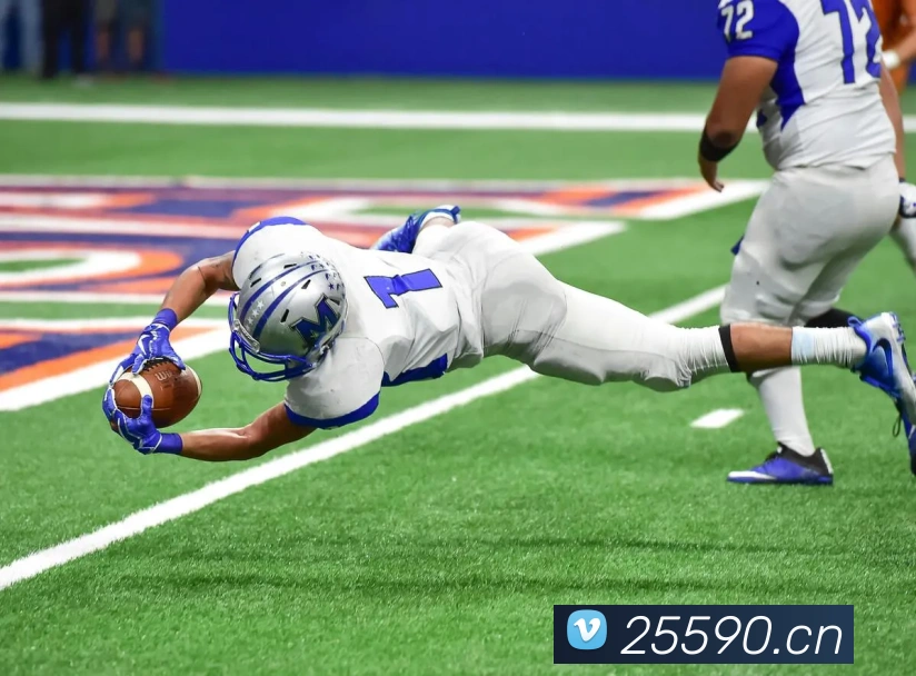 mksports官方公告平台生态图